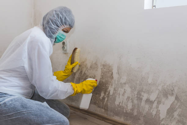 Best Crawl Space Mold Removal  in The College Of New Jersey, NJ