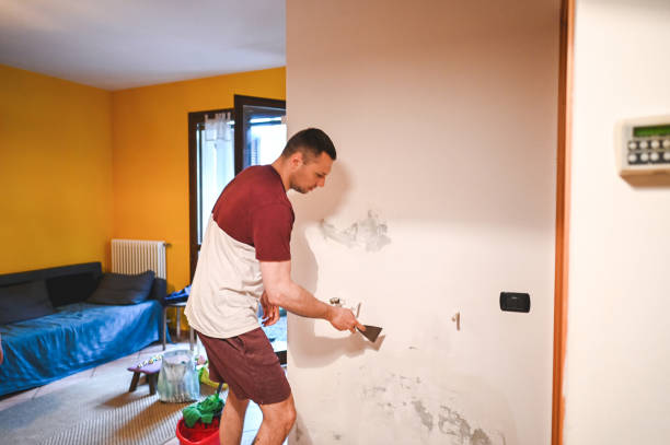 Professional Mold Removal in The College Of New Jersey, NJ