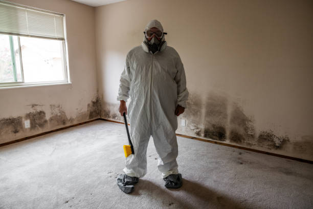 Best Certified Mold Removal  in The College Of New Jersey, NJ